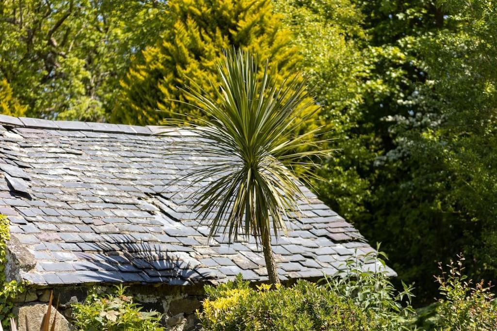 Plas Newydd With Swimming Pool, Fire Pit, And Log Fires Βίλα Rhiw Εξωτερικό φωτογραφία